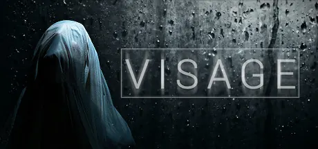 Cover of Visage