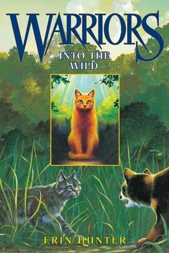 Portada de Into the Wild