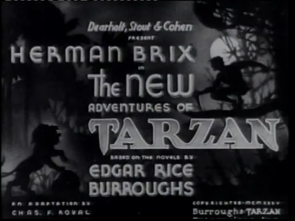 Capa de The New Adventures of Tarzan