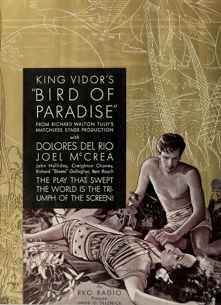 Portada de Ave del paraíso