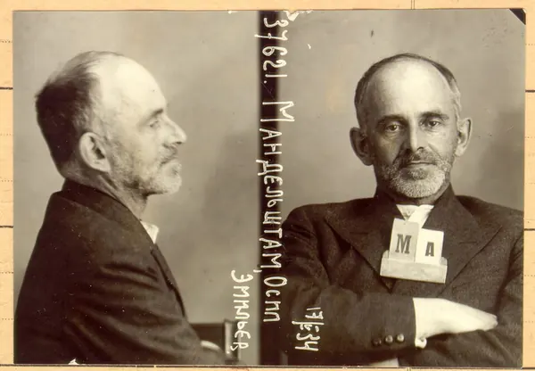 Capa de Epigrama de Stalin