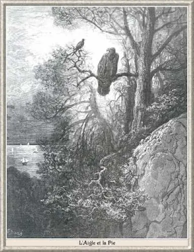 Cover of The Eagle and the Magpie