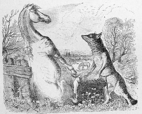 Portada de The Horse and the Wolf
