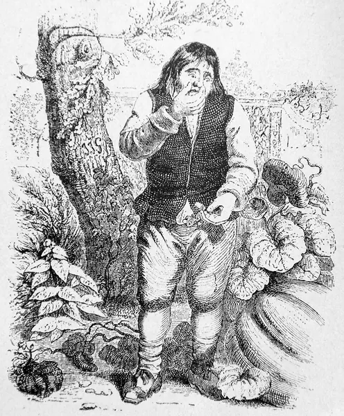 Capa de The Acorn and the Pumpkin