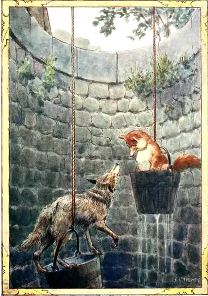 Capa de The Fox and the Wolf