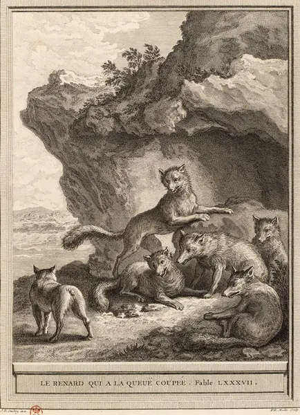 Cover of The Fox with Its Tail Cut Off