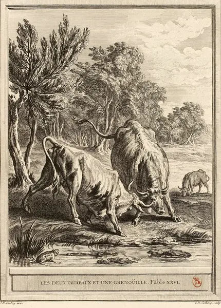 Capa de The Two Bulls and the Frog