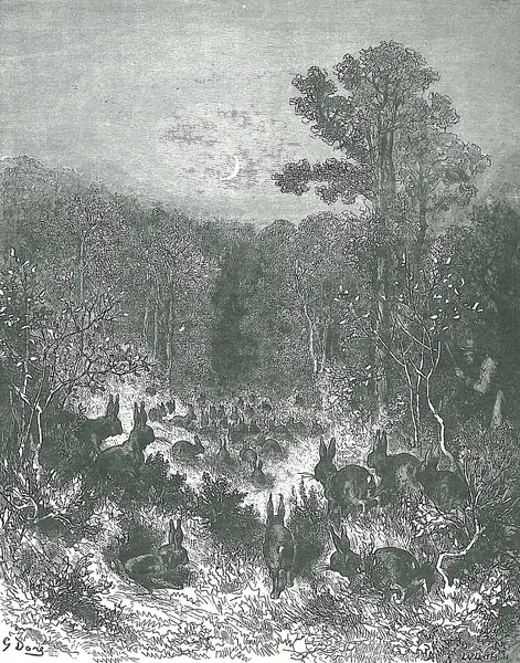 Capa de Les Lapins