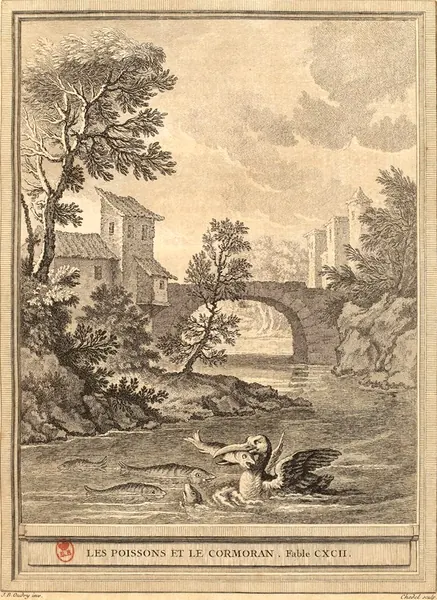 Portada de Les Poissons et le Cormoran