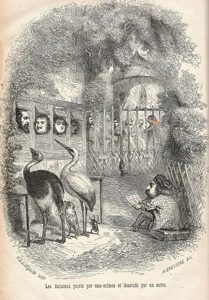 Portada de Public and Private Life of Animals
