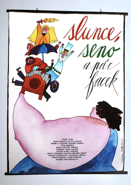 Portada de Slunce, seno a pár facek
