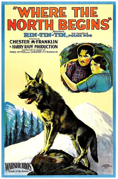 Capa de A Dedicação de Rin -Tin -Tin