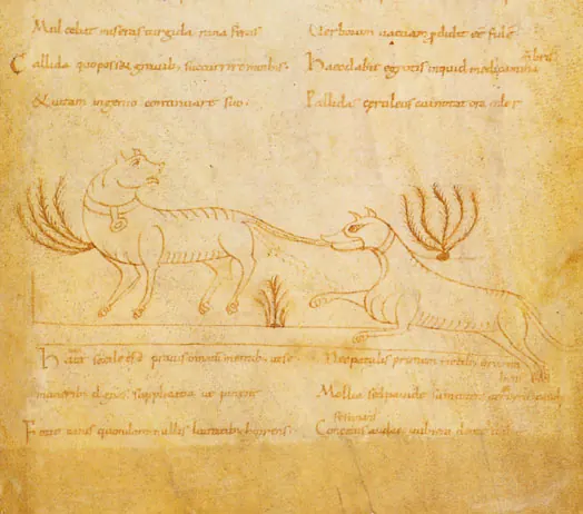 Cover of Ysengrimus