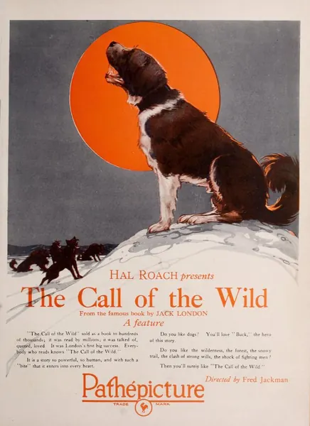 Portada de The Call of the Wild