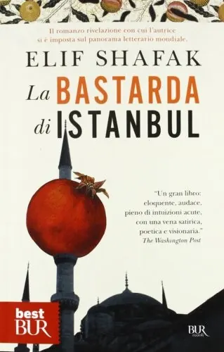 Capa de The Bastard of Istanbul