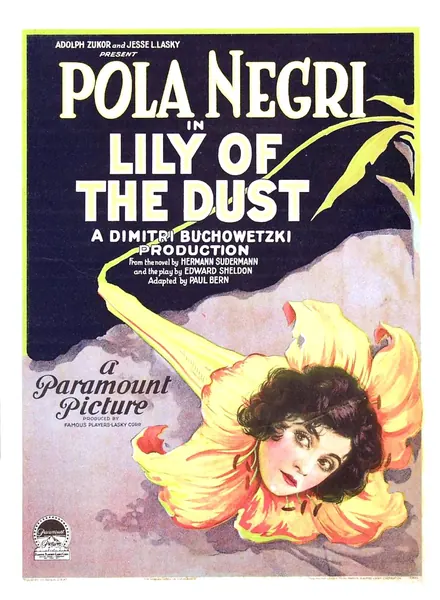 Capa de Lily of the Dust