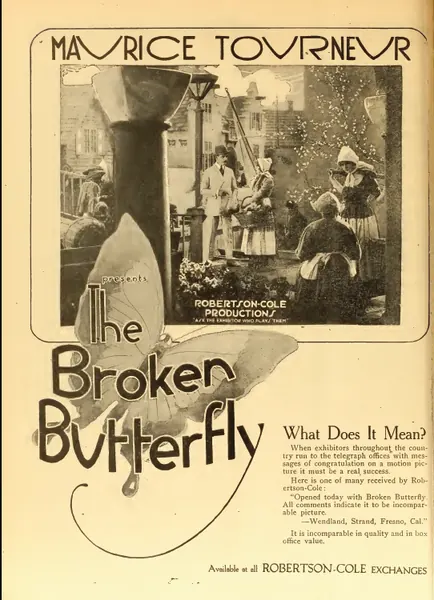 Capa de The Broken Butterfly