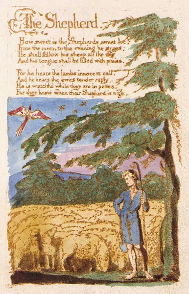 Portada de The Shepherd