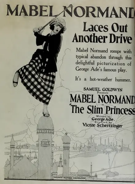 Capa de The Slim Princess