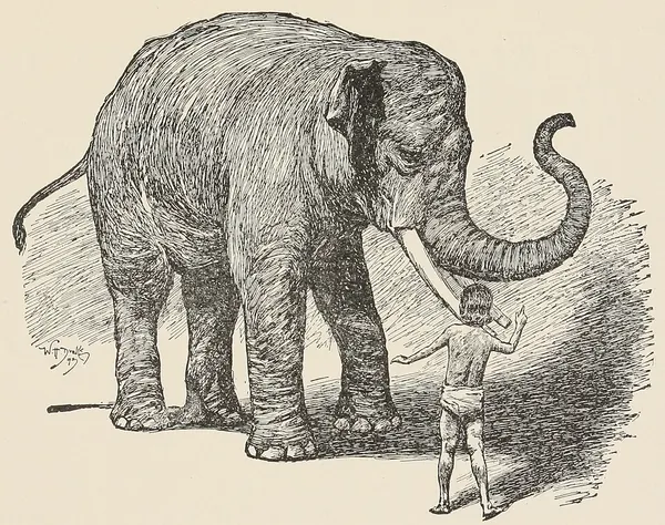 Capa de Toomai of the Elephants