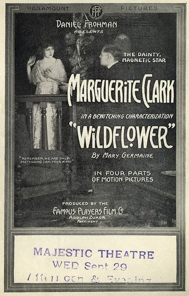 Portada de Wildflower