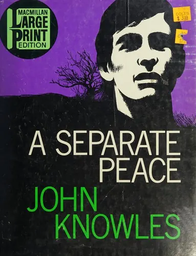 Capa de A Separate Peace