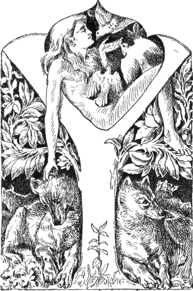 Capa de All the Mowgli Stories