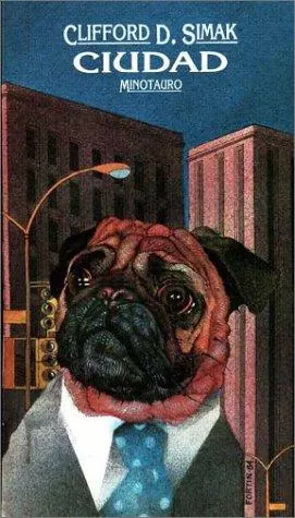 Cover of City