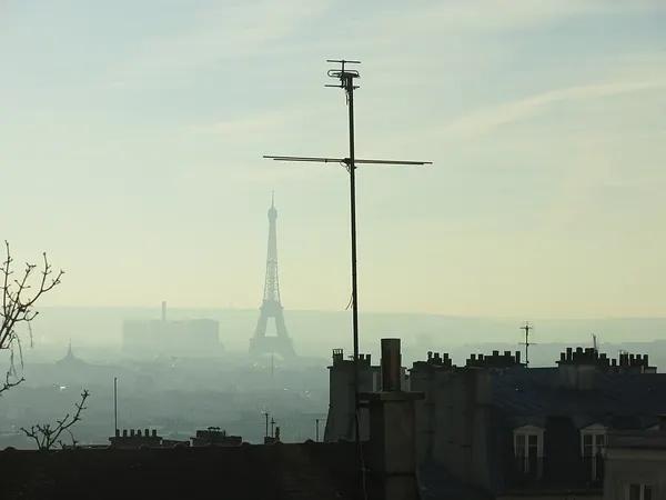 Capa de Dans la brume