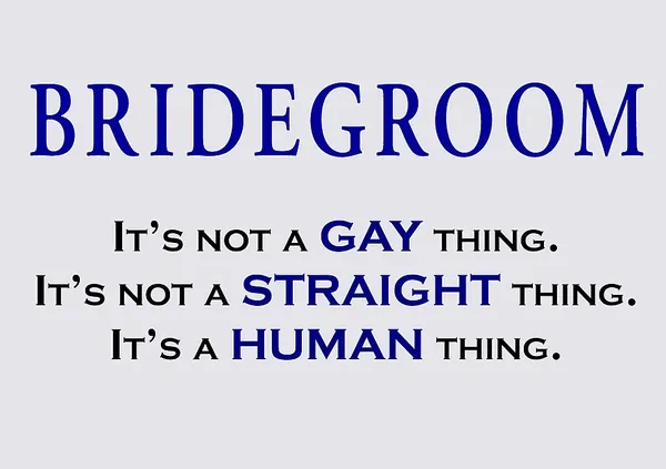 Portada de Bridegroom