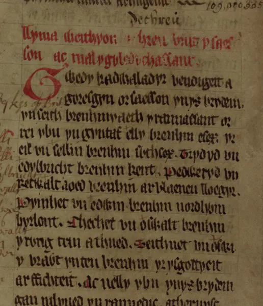 Capa de Brut y Saeson