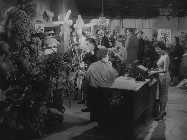 Capa de The Little Shop of Horrors