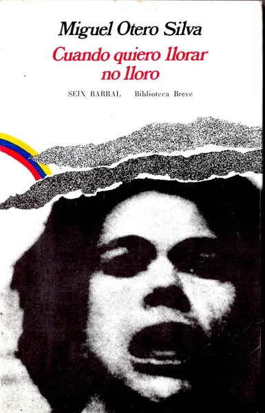Portada de Cuando quiero llorar no lloro
