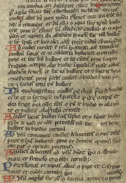 Capa de Liber de Coquina