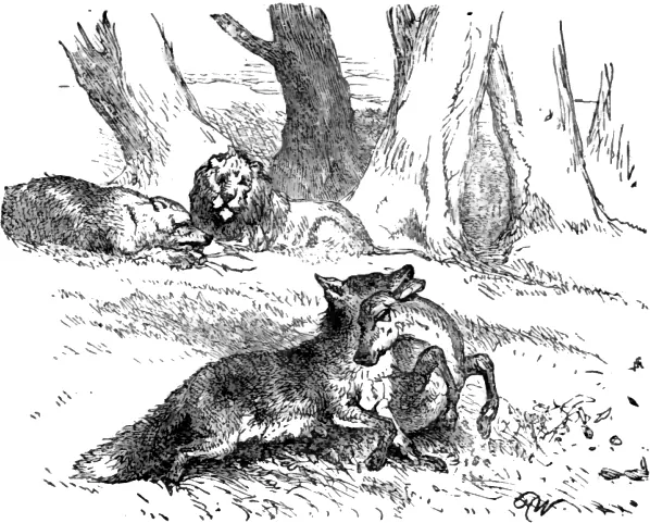 Capa de The Lion, the Bear, and the Fox