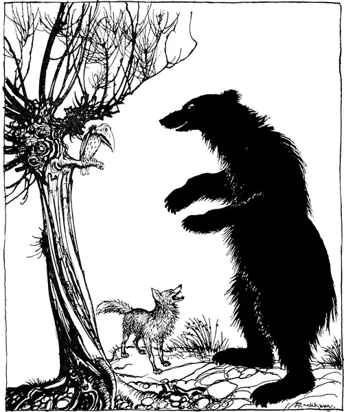 Capa de The Bear and the Fox