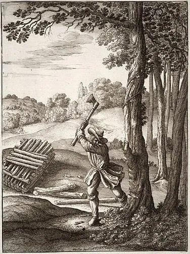 Capa de The Woodcutter and the Trees
