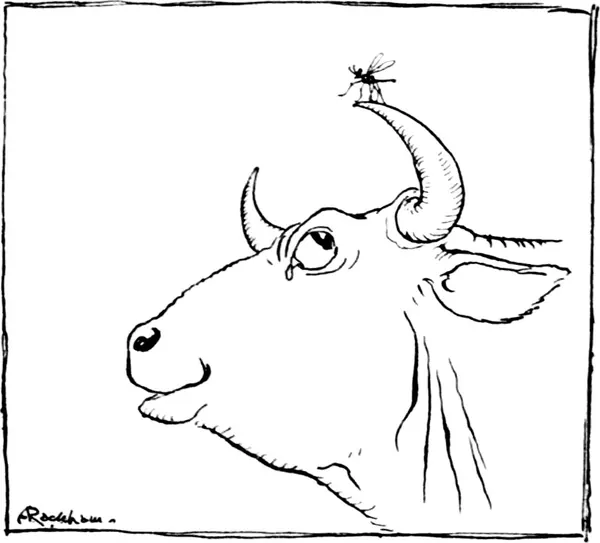 Capa de The Gnat and the Bull