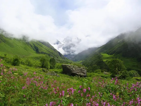 Capa de Valley of Flowers