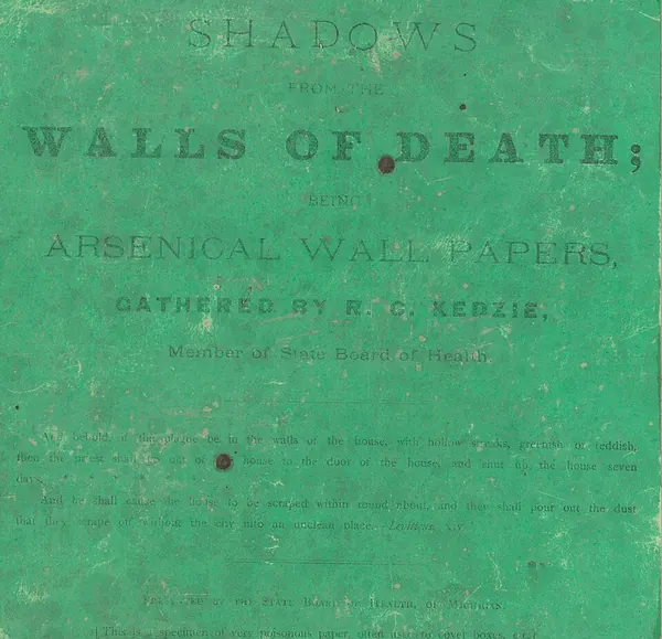 Portada de Shadows from the Walls of Death