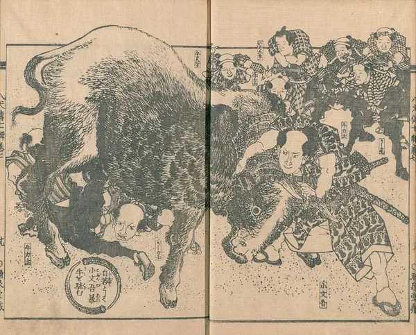 Capa de Nansō Satomi Hakkenden