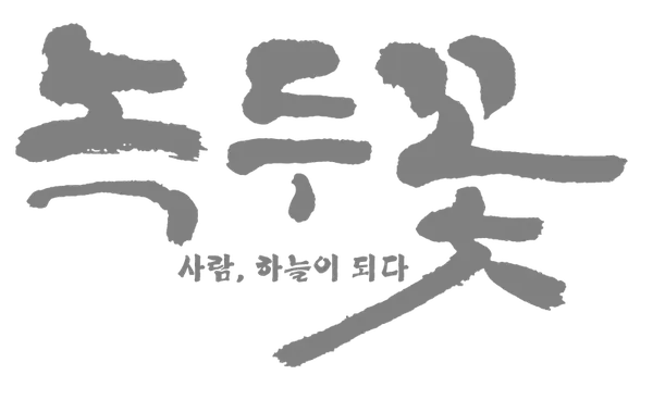 Capa de Nokdu Flower