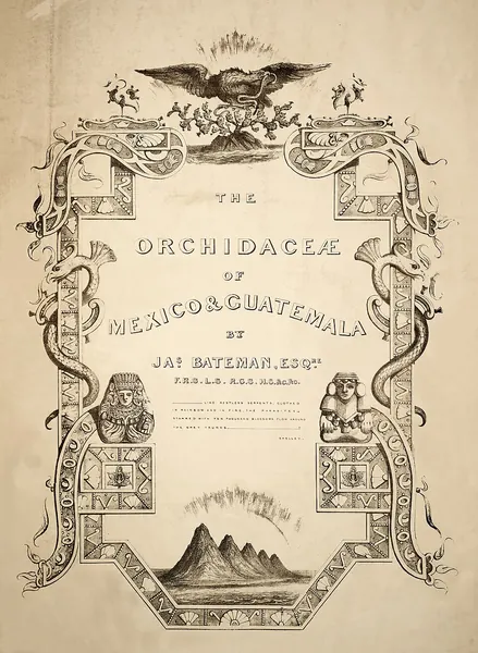 Capa de The Orchidaceae of Mexico and Guatemala