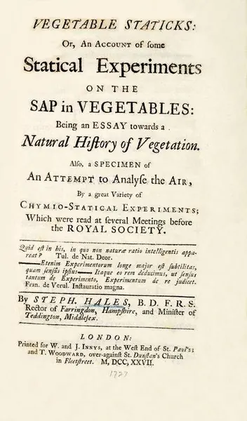 Capa de Vegetable Staticks
