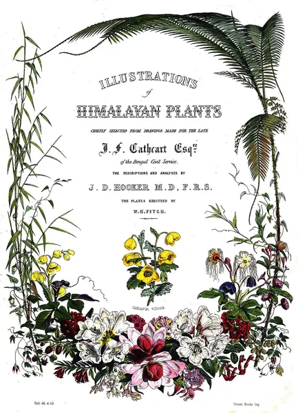 Capa de Illustrations of Himalayan Plants