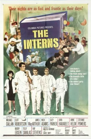 Capa de The Interns