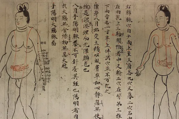 Cover of Ishinpō