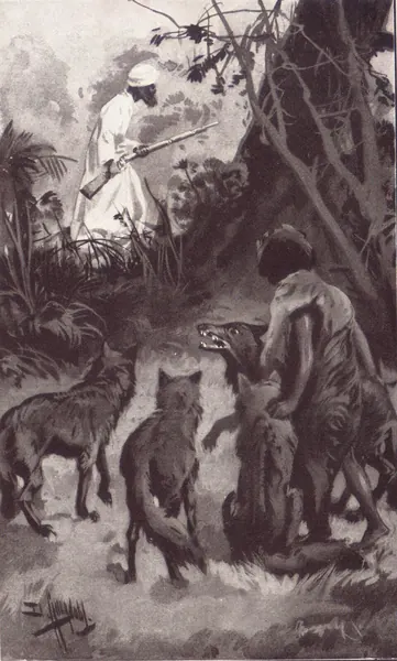 Capa de Letting in the Jungle