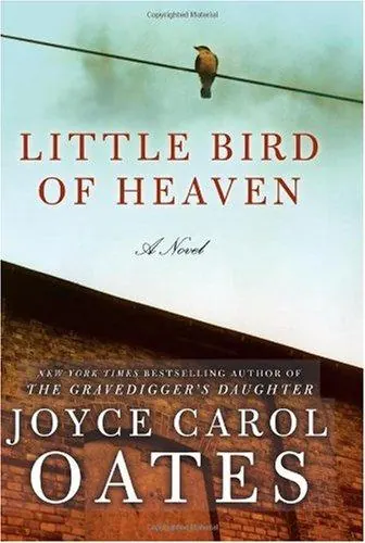 Portada de Little Bird of Heaven