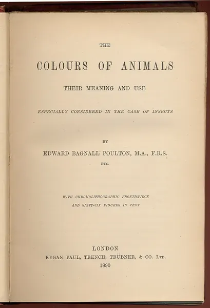 Portada de The Colours of Animals